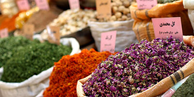 نارضایتی اعضای اتحادیه عطاران و سقط فروشان استان تهران از عملکرد بیمه دولتی