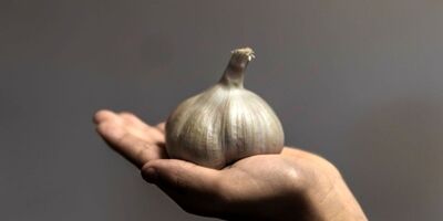 عصاره سیر به درمان کووید -۱۹ کمک می  کند