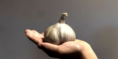 عصاره سیر به درمان کووید -۱۹ کمک می  کند