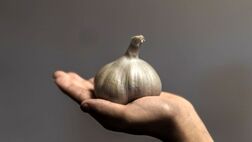 عصاره سیر به درمان کووید -۱۹ کمک می  کند