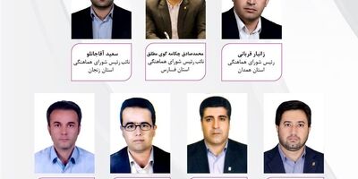 پرداخت خسارت 960 میلیون تومانی توسط بیمه نوین
