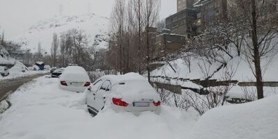 سرمای این روزها، به اندازه سیبری است!