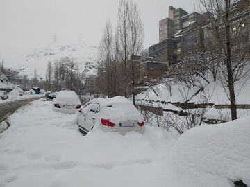 برف یک متری در تهران
