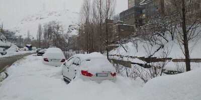 سرمای این روزها، به اندازه سیبری است!