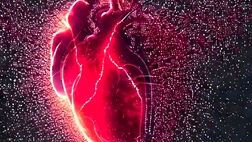
تشخیص بروز سکته قلبی از نمونه خون تا ۱۰ روز بعد از ایجاد آسیب
