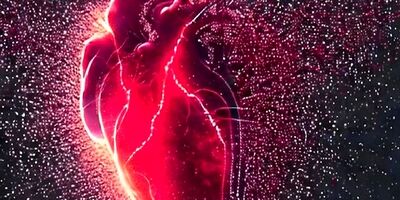 
تشخیص بروز سکته قلبی از نمونه خون تا ۱۰ روز بعد از ایجاد آسیب

