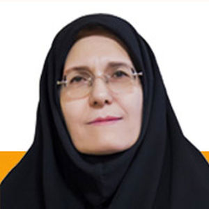 زهرا میرحسینی