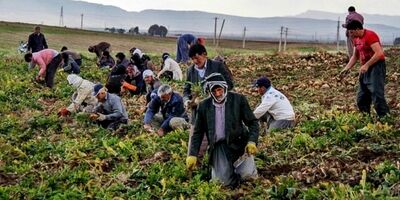 7 هزار سرپرست خانوار سمنانی تحت پوشش بیمه‌ای نیستند