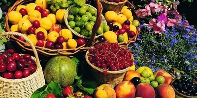 تولید میوه‌های تابستانه ۲۰ درصد افزایش یافت