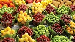 نیم میلیون هکتار از باغات تحت پوشش بیمه هستند/ کاهش یک میلیونی تولیدات محصولات هسته‌دار و خشکبار