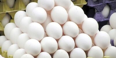 احتمال افزایش قیمت تخم مرغ! 