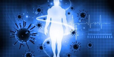 سیستم ایمنی بدن چگونه شکل می‌گیرد؟
