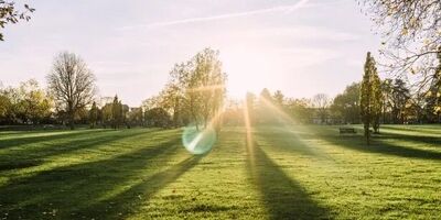 کاهش خطر پوکی استخوان با طبیعت
