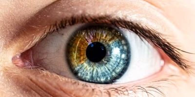 کلید پیشگیری از بیماری مزمن کلیه
