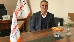شرکت های بیمه‌ای ایران علاقه مند به حضور و ارائه خدمت به کشورهای همسایه هستند