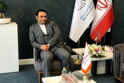 «نیما نوراللهی» سرپرست بیمه البرز شد