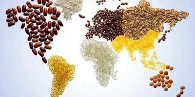 وضعیت امنیت غذایی جهان در صورت ادامه جنگ روسیه و اوکراین