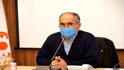 حق بیمه پایه بازنشستگی ۵۰ هزار زن سرپرست خانوار روستایی پرداخت شد