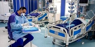 صدور تاییدیه حلال برای ۲۸۵ محصول سلامت‌محور