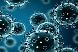 آنتی‌بیوتیک و دارو‌های گیاهی درمان آنفلوآنزا نیستند
