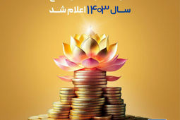 سود مشارکت در منافع سال ۱۴۰۳ بیمه پاسارگاد اعلام شد