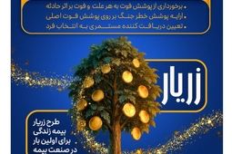 نوآوری بیمه پارسیان در حمایت از خانواده‌ها با ارایه «طرح زریار»