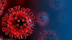 کرونا ویروس توانایی آسیب به DNA انسانی را دارد