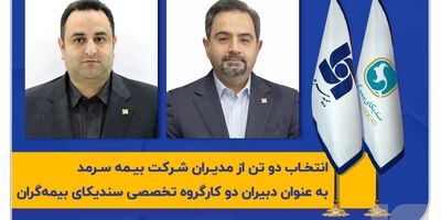 انتخاب دو تن از مدیران شرکت بیمه سرمد به‌عنوان دبیران دو کارگروه‌ تخصصی سندیکای بیمه‌گران‌
