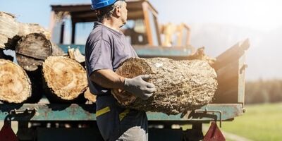  گسترش چوب‌دزدی در اروپا برای گرم کردن منازل 