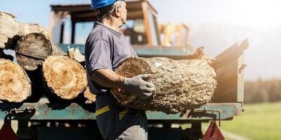  گسترش چوب‌دزدی در اروپا برای گرم کردن منازل 