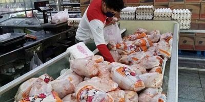 قیمت هرکیلوگرم مرغ 267 هزار تومان اعلام شد

