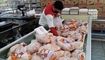 قیمت هرکیلو مرغ به ۳۰۰ هزارتومان رسید
