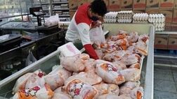 توزیع ۲۸ هزار تن مرغ منجمد برای تنظیم بازار