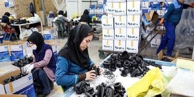 ۲۶.۵ درصد تعاونی‌های فعال در حال بهره برداری در گرایش خدماتی است