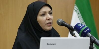 سرمایه صندوق ضمانت صادرات ایران فقط 100 میلیون دلار است
