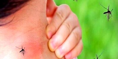 شناسایی ۱۰۹۴ مبتلا به تب دانگ در کشور