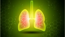 زندگی در طبیعت موجب تقویت سلامت ریه کودکان می شود