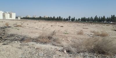 سازمان ملی زمین و مسکن  ۵۰۰ هزار زمین  خود را درسامانه سادا ثبت نکرد