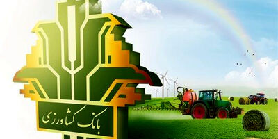بانک کشاورزی ضامن مشمولان طرح کشاورزی قراردادی می شود
