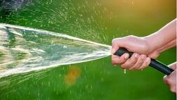 هدررفت ۳۰ درصدی محصولات و مصرف ۱۸۰۰ میلیون مترمکعب آب در کشاورزی تهران
