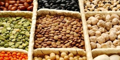 واردات چای و حبوبات آغاز شد