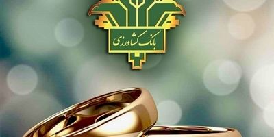 لزوم حمایت ویژه دولت از بانک کشاورزی برای جبران خسارات خشکسالی
