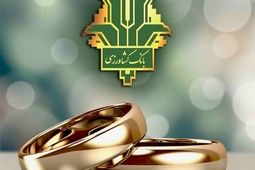 پرداخت 26 هزار میلیارد ریال تسهیلات قرض الحسنه ازدواج و فرزندآوری توسط بانک کشاورزی
