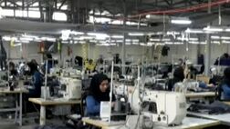 ٢٠ درصد ازکارکنان کارگاه‌های بازرگانی برای فعالیت‌ ‌خود از اینترنت استفاده می‌کنند