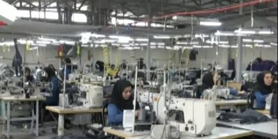 ٢٠ درصد ازکارکنان کارگاه‌های بازرگانی برای فعالیت‌ ‌خود از اینترنت استفاده می‌کنند