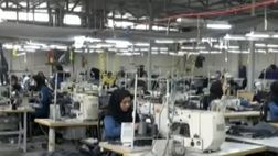 ٢٠ درصد ازکارکنان کارگاه‌های بازرگانی برای فعالیت‌ ‌خود از اینترنت استفاده می‌کنند
