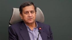 دولت برنامه‌ای برای حذف ارز ترجیحی ندارد