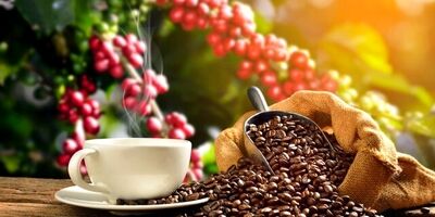 کدام نوع قهوه خطر مرگ زودرس را کاهش می‌دهد؟
