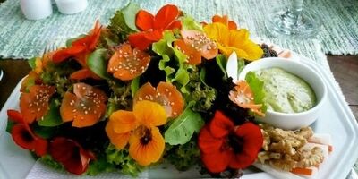 گل‌های خوراکی و خواص آن‌ها