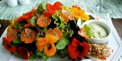 گل‌های خوراکی و خواص آن‌ها